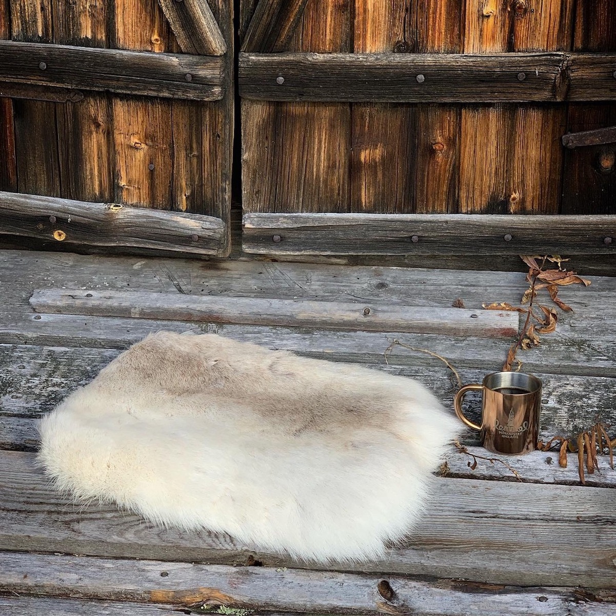 compass1648734969.jpg?fitin=