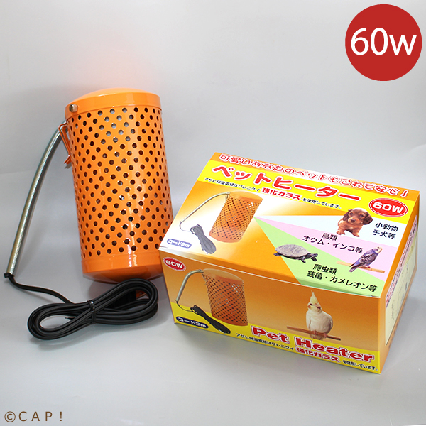 楽天市場】アサヒ ペットヒーター 60W : CAP！