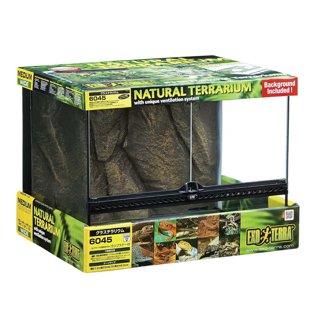 楽天市場】グラステラリウム 4545の通販