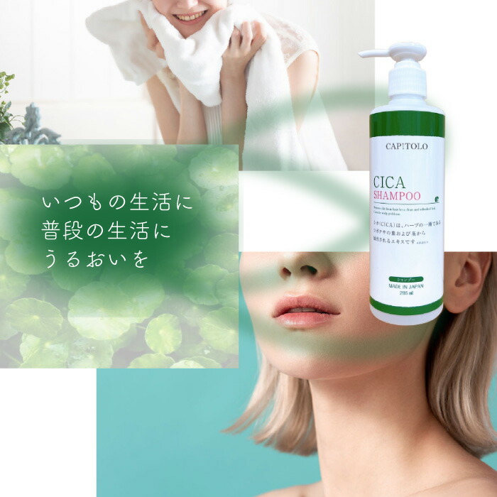 楽天市場】CAPITOLO(カピートロ) CICA シャンプー(285ml) : Ciccino