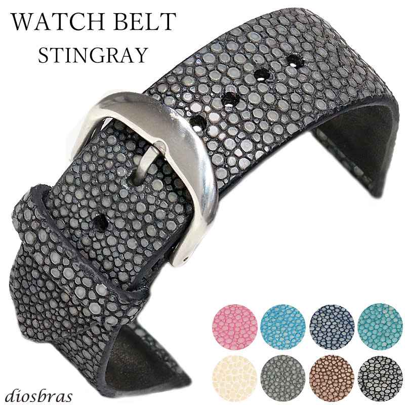 楽天市場】腕時計 Dバックル 時計 スティングレイ ウォッチベルト エイ