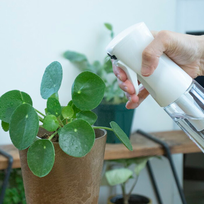 楽天市場】【スーパーSALE期間中 10倍P】 ＼スプレー／ 園芸用 【Fine