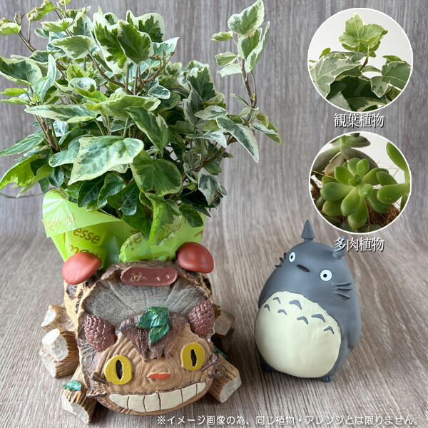 楽天市場】ジブリ グッズ となりのトトロ トトロと森のネコバス 植物
