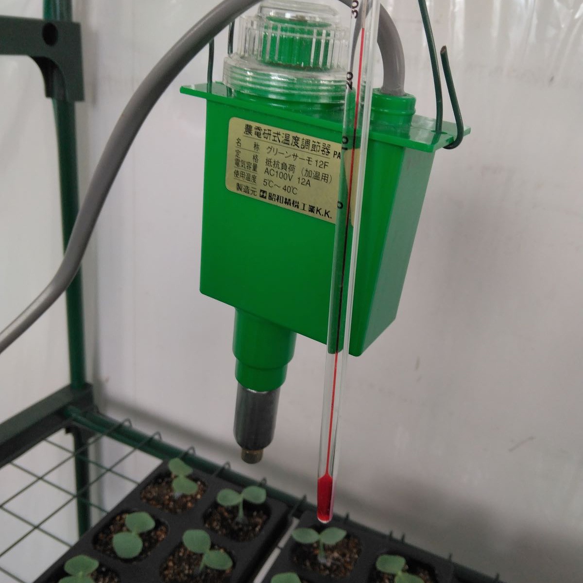 楽天市場】パネルヒーター 500W 12Fサーモ付 SPF-500 昭和精機工業