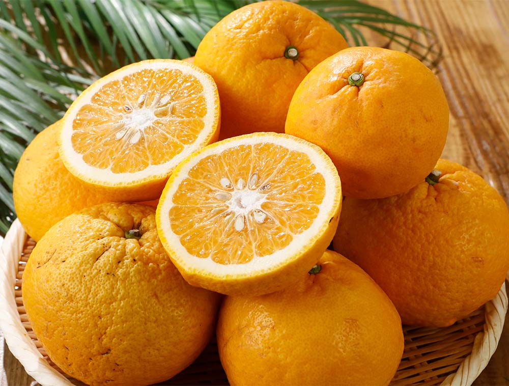 楽天市場】5月分予約 訳あり 愛媛産 サマーキング 約8kg 減農薬 サイズ