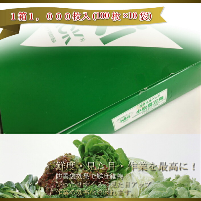 楽天市場】【5%OFF】防曇袋 生き生き パック OPP ボードン 三角袋