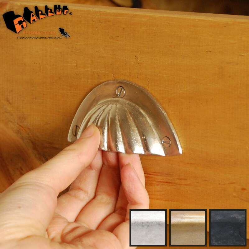 楽天市場】670-73 シェル カップ ビン プル【つまみ 取っ手 取手 貝殻