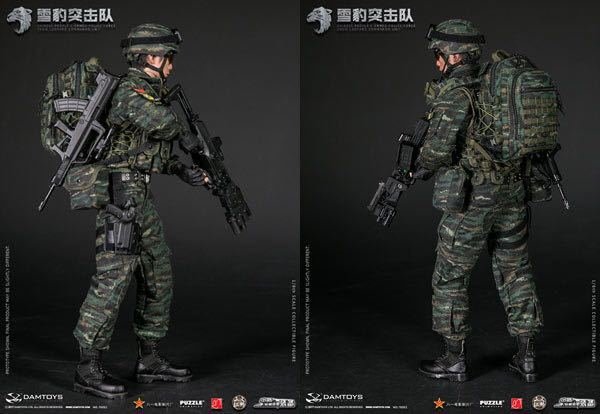 楽天市場】【DAMTOYS】78052 1/6 CHINESE PEOPLE'S ARMED POLIC中国