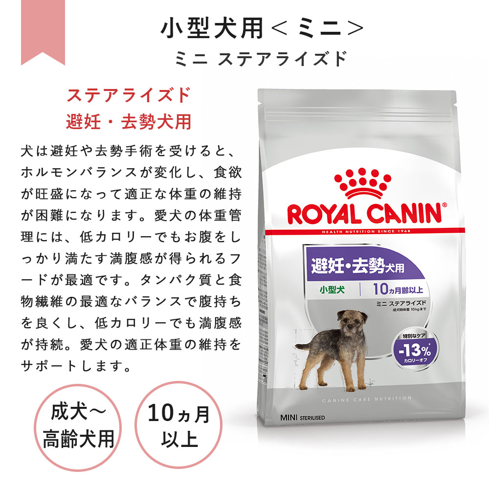 楽天市場】ロイヤルカナン ミニ ステアライズド 800g 成犬用～高齢犬用