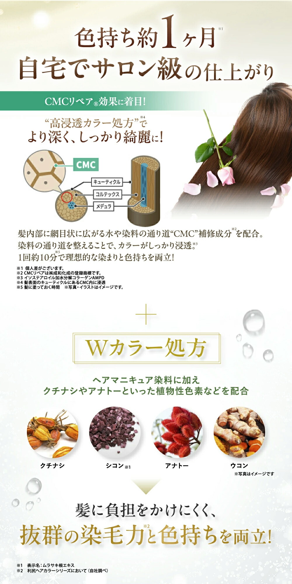 楽天市場】【スーパーSALE限定10%OFF】白髪用 利尻カラークリーム 170g