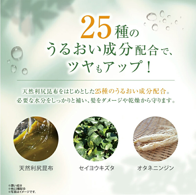 楽天市場】【スーパーSALE限定10%OFF】白髪用 利尻カラーシャンプー