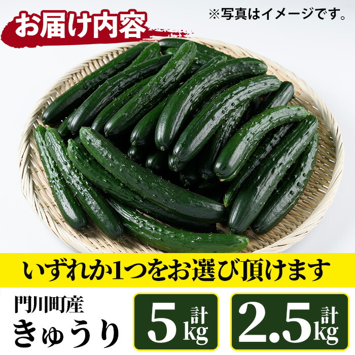 楽天市場】【ふるさと納税】＜内容量が選べる！＞宮崎県産きゅうり(2.5