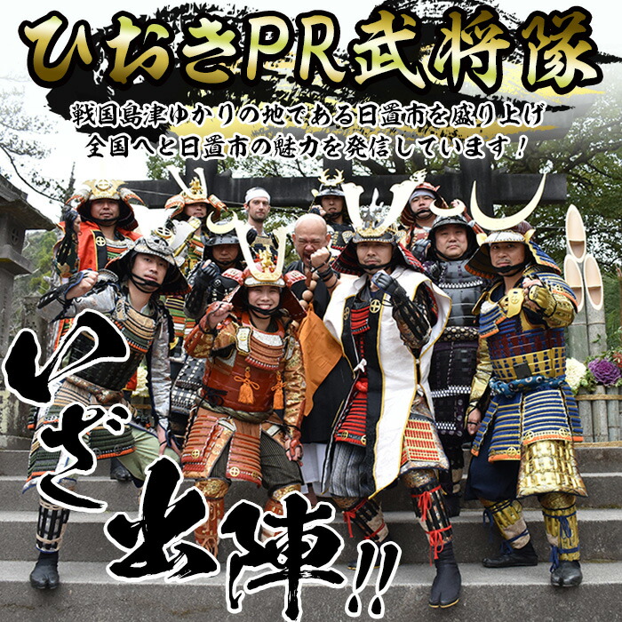 楽天市場】【ふるさと納税】＜選べる！＞ひおきPR武将隊 着用モデル