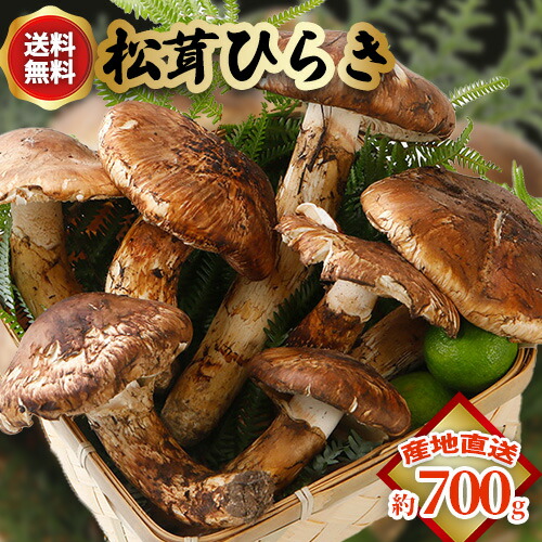 楽天市場】2026年10月分予約 【全額返金】国産 松茸 ひらき 約700g 3