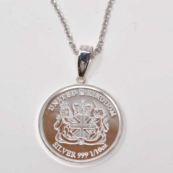 楽天市場】イルカ コイン シルバー 1/10オンス ネックレス チェーン