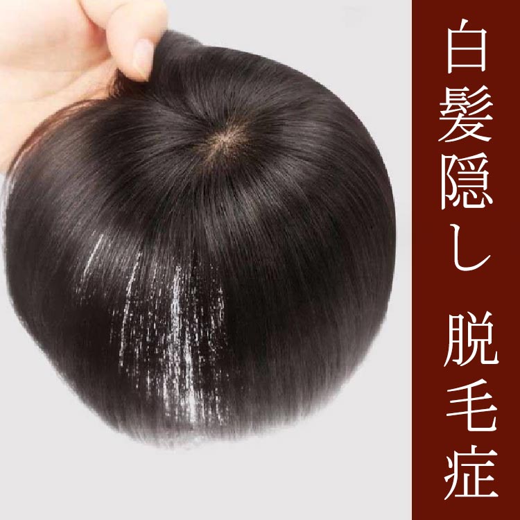 楽天市場】部分ウィッグ つけ毛 トップピース ヘアピース 人毛100