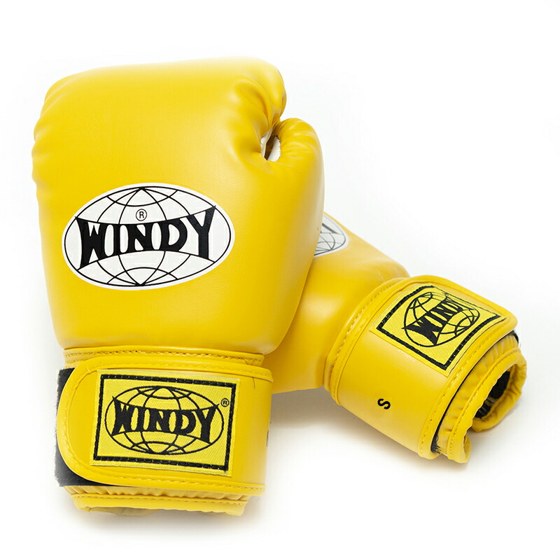 楽天市場】【日本総代理店】WINDY(ウィンディ) BGVC キッズレディス