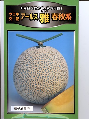 楽天市場】メロンの種 ウエキ交配 アールス 雅 春秋系 横浜植木の高級