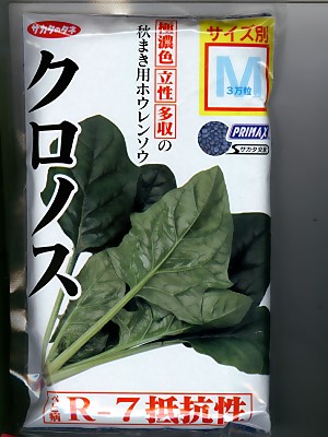 楽天市場】サカタ交配 クロノスほうれん草 サカタのタネのほうれん草