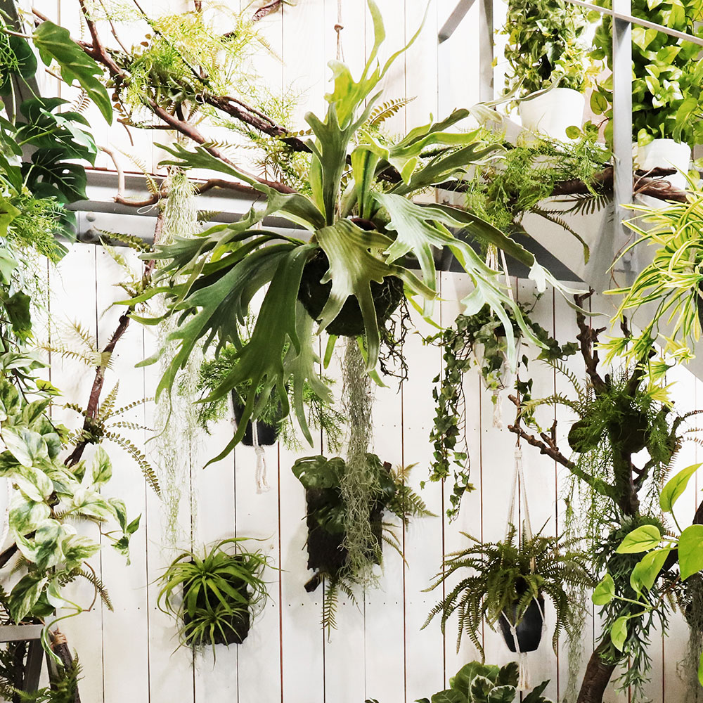 楽天市場】フェイクグリーン ビカクシダ コウモリラン スタッグホーン