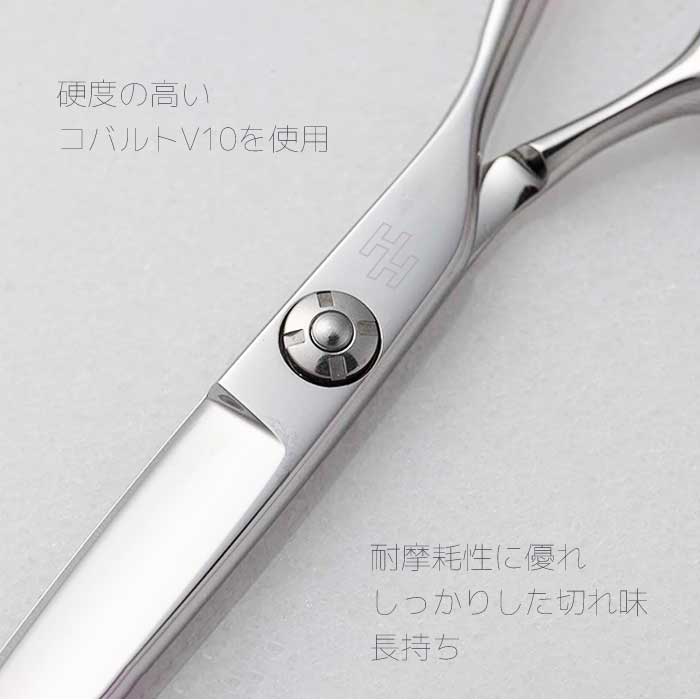 楽天市場】【送料無料 完全プロ仕様】【ハサミハウス】【ベアリング