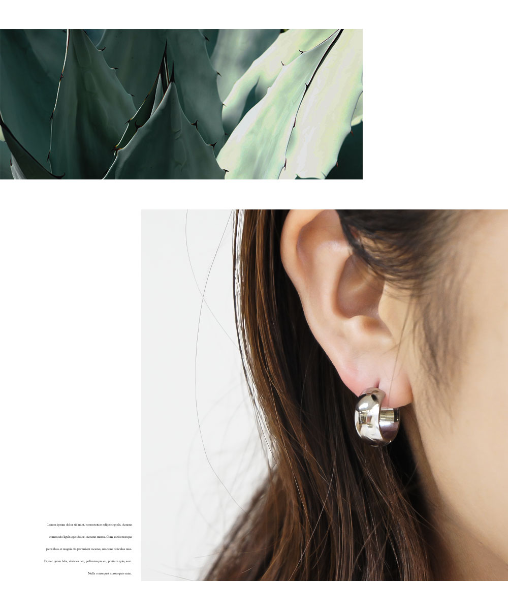 楽天市場】＼MAX90%OFFセール／ Nei/nor ピアス お肌に優しい つけっ