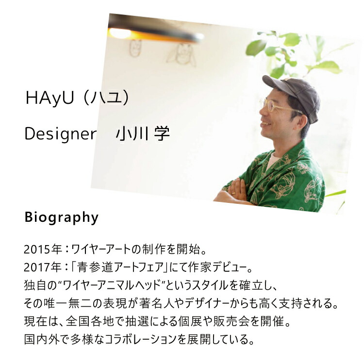 楽天市場】【楽天スーパーSALE 10%OFF】クッション | HAyU クッション