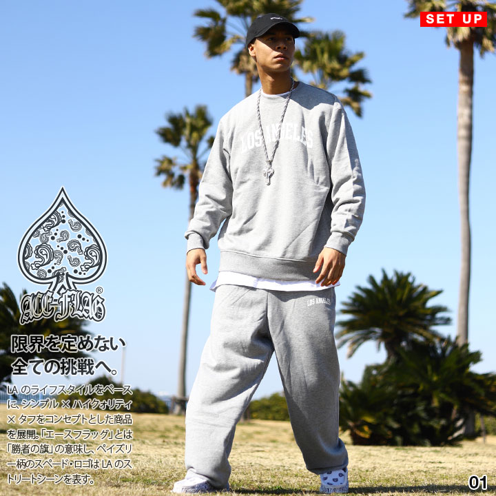 楽天市場】【58%OFF】ACE FLAG 上下セット 長袖 ブランド メンズ 春