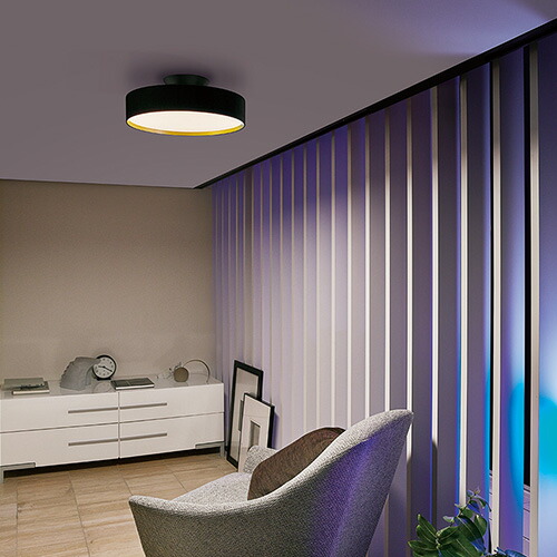 楽天市場】【特典付】シーリングライト おしゃれ アートワークスタジオ