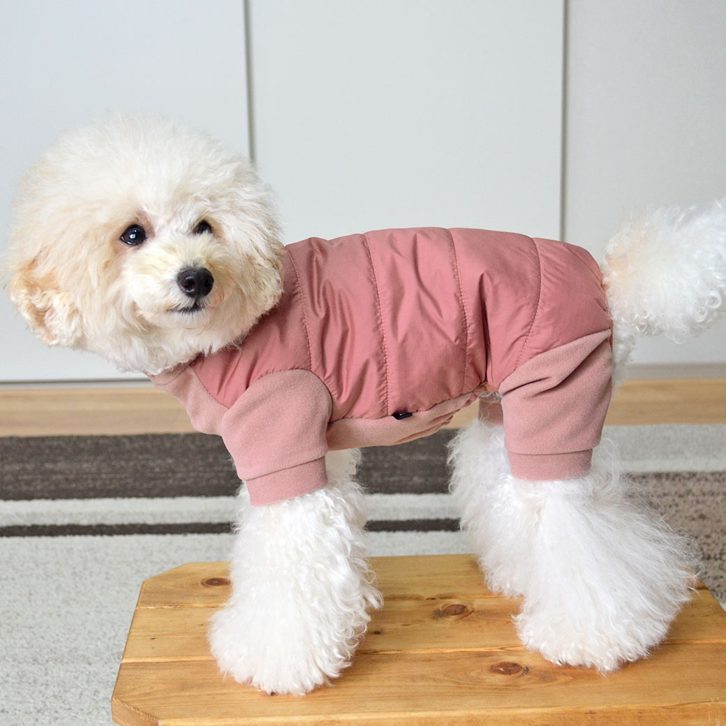 楽天市場】【 犬 ロンパース 防寒 】iDog ツートンわんぱくつなぎ アイ