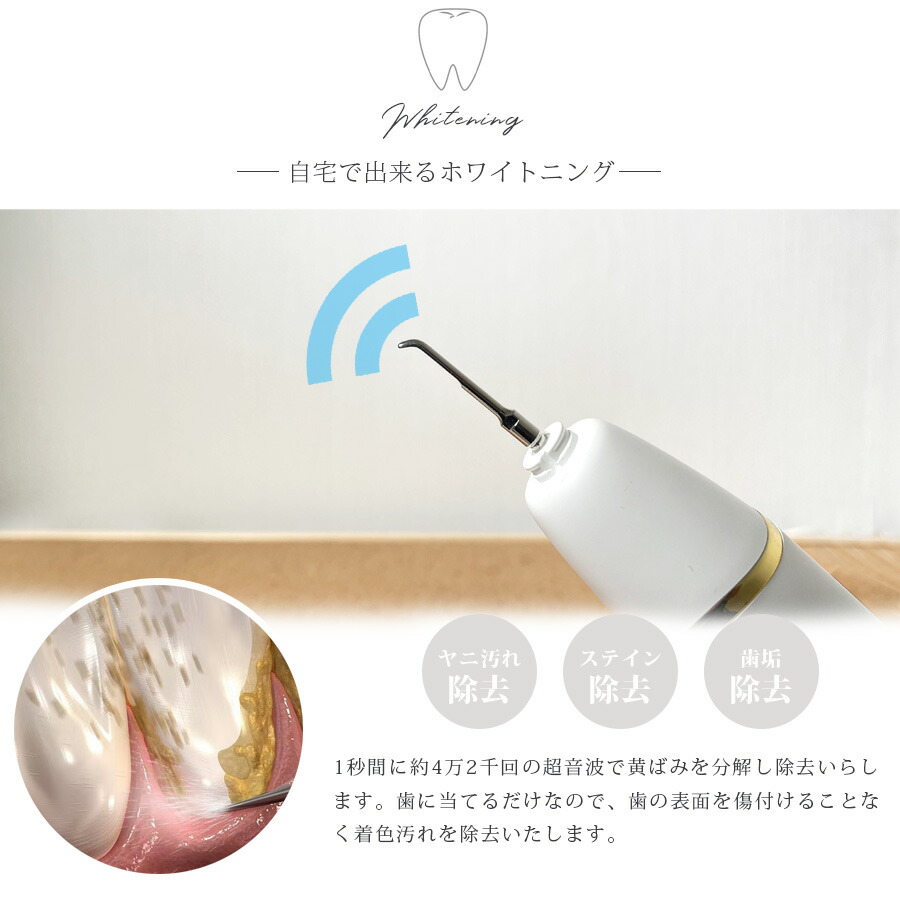 楽天市場】SALE対象商品 電動歯ブラシ シャイニーキャビテック