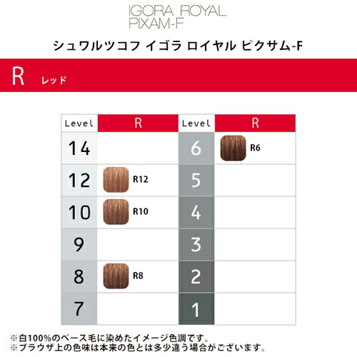 楽天市場】【ガチャで○%クーポンGET】シュワルツコフ イゴラ ロイヤル