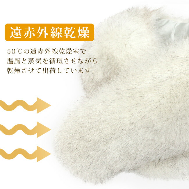 楽天市場】＼ポイント2倍／【LINE登録で5%OFF】 レンタル Sランク