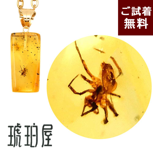 楽天市場】化石 虫入り琥珀 ネックレス ペンダントトップ 蜘蛛 クモ 縦