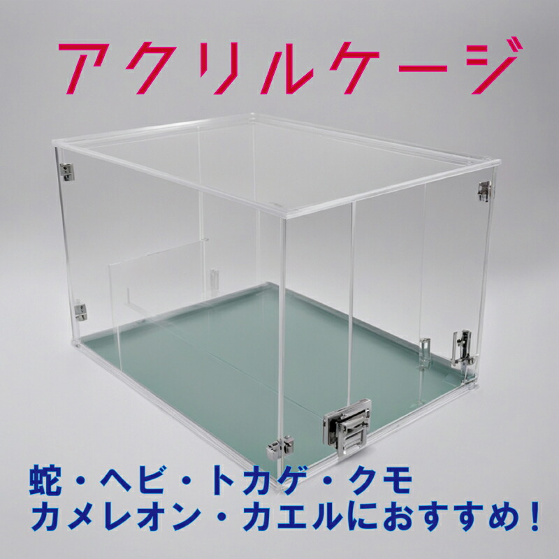 楽天市場】蛇飼育用アクリルケージ 爬虫類ケース 両生類飼育ケース