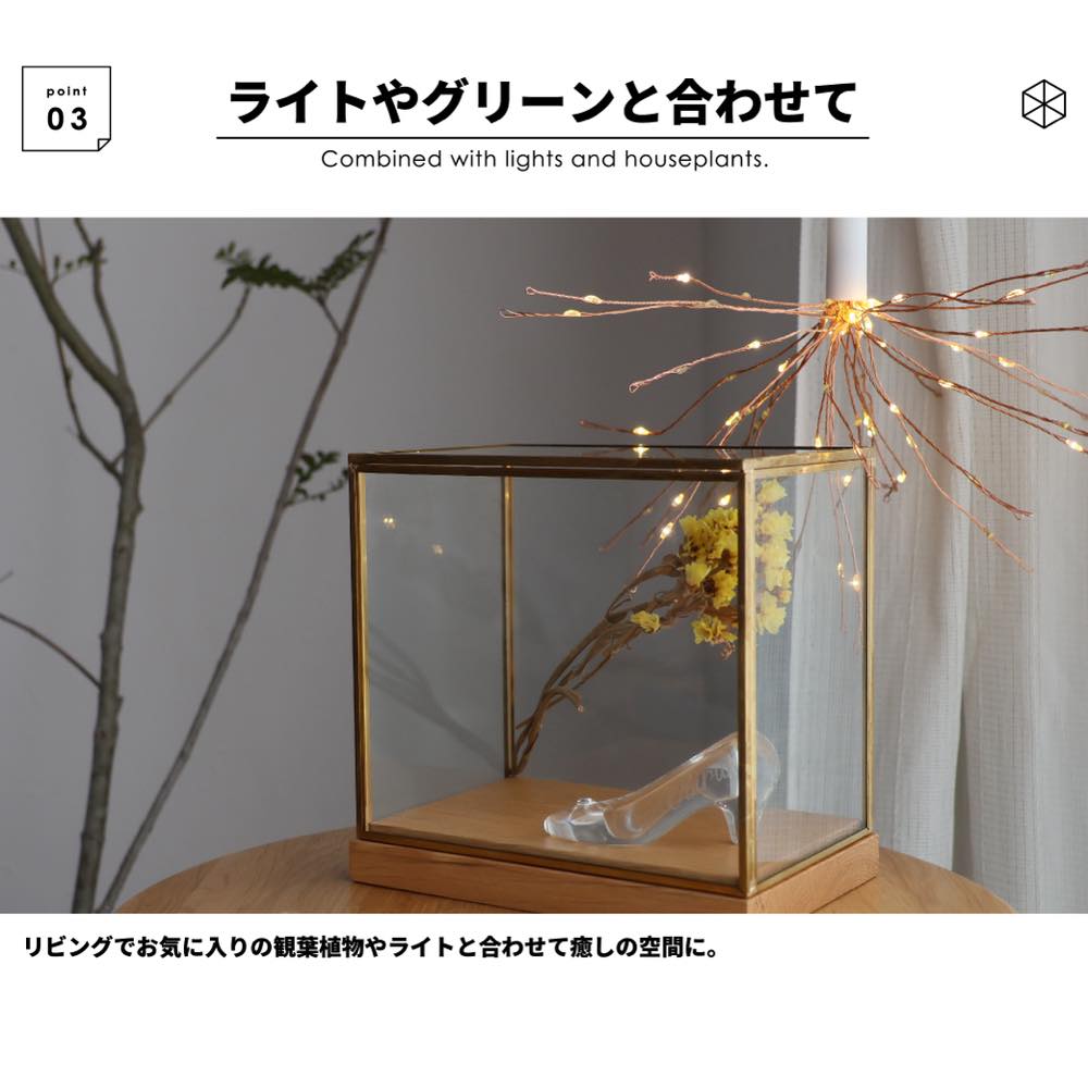 楽天市場】最大ポイント100%還元 クーポン レビュー特典 ディスプレイ