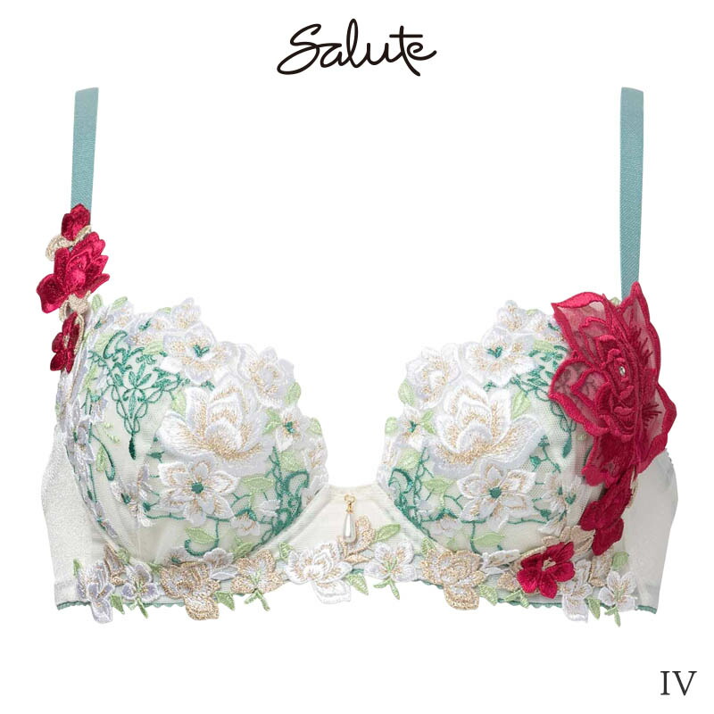 楽天市場】30%OFF サルート Salute 16グループ ワコール ブラジャー 3
