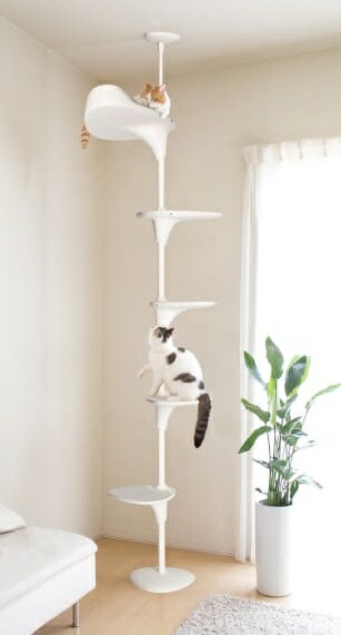 楽天市場】OPPO キャットフォレスト2 ホワイト/ブラック キャット