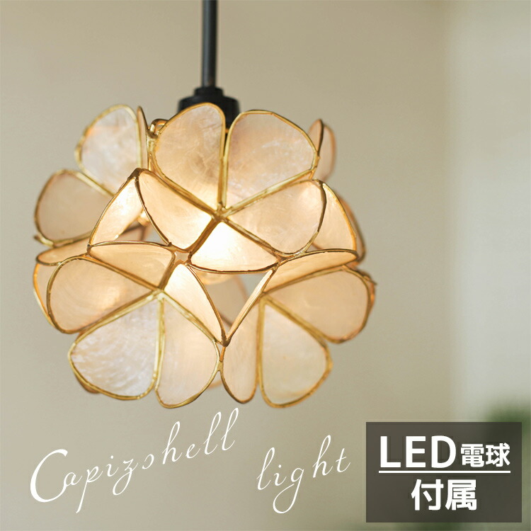 楽天市場】【最大半額＆7%OFFクーポン】カピスシェル ペンダントライト