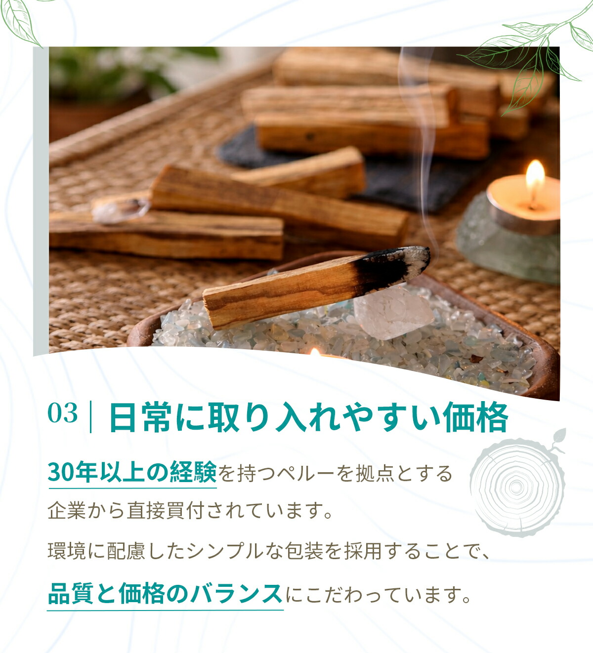 楽天市場】☆SS限定半額以下☆【楽天1位】【鮮度にこだわり毎月入荷