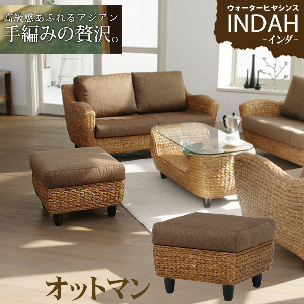 楽天市場】【3%クーポンあり☆7・8日限定】ウォーターヒヤシンス