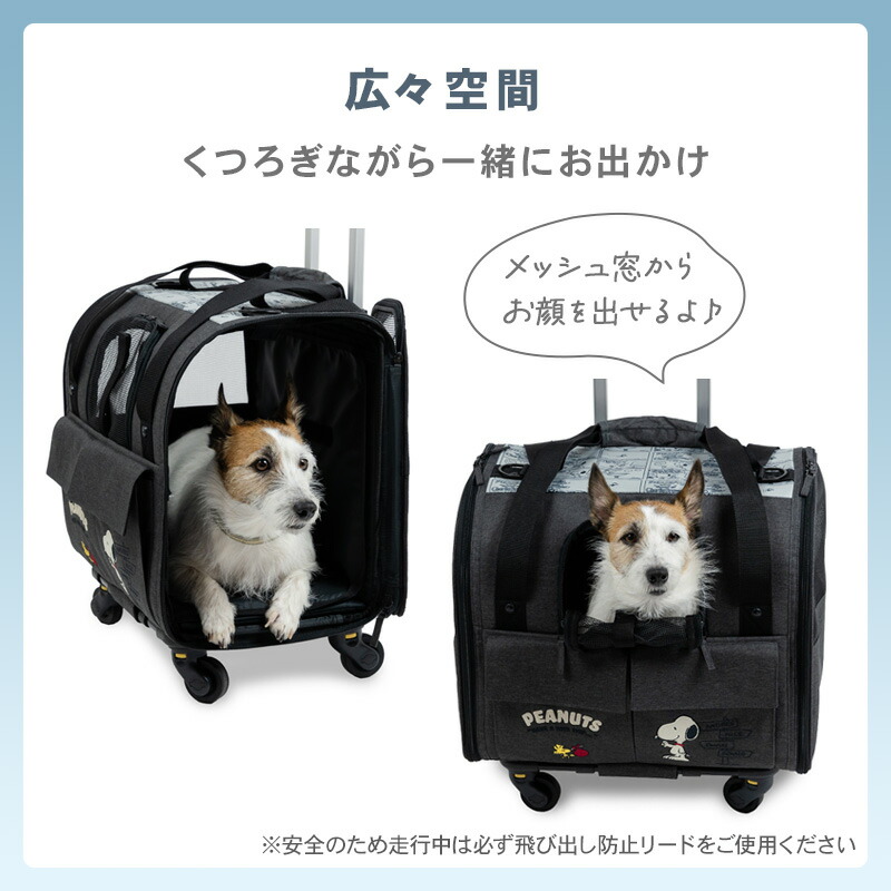 楽天市場】【最大2000円OFFｸｰﾎﾟﾝ】【880円OFF】【ペットパラダイス公式