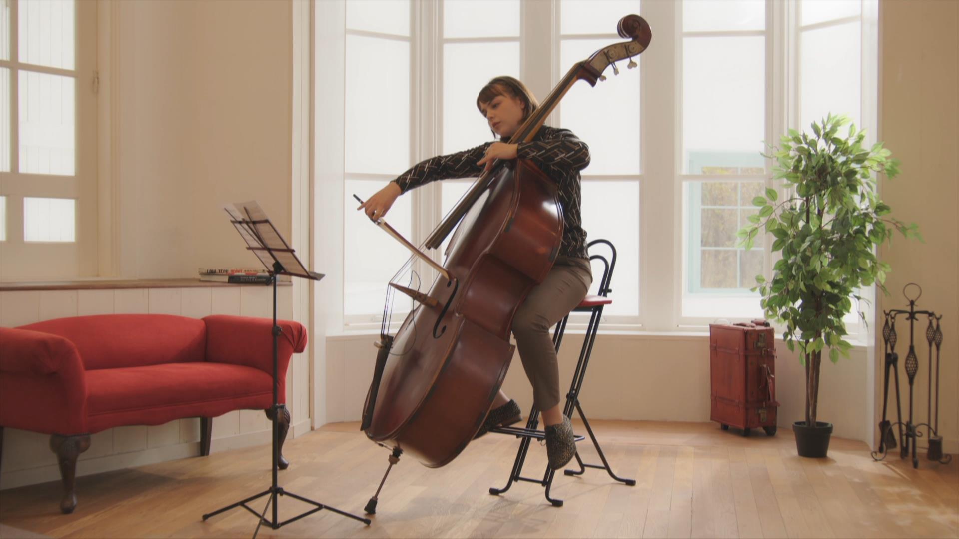 楽天市場】【ルネセイコウ公式店 送料無料 】楽器 演奏用 高低可動