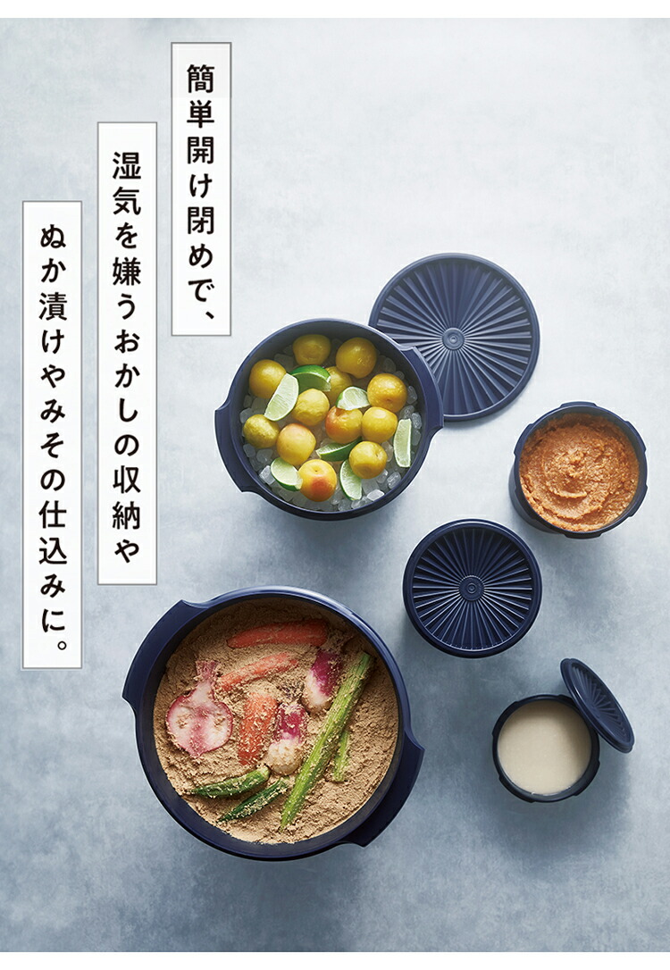 楽天市場】タッパーウェア マキシデコレーター 密封 密封 保存容器