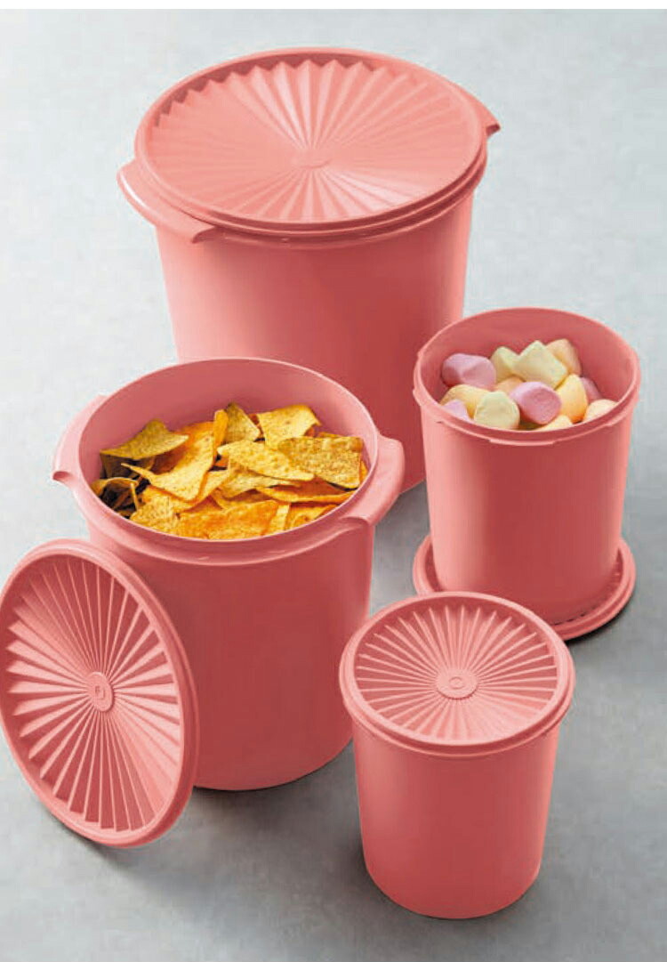 楽天市場】タッパーウェア マキシデコレーター 密封 密封 保存容器