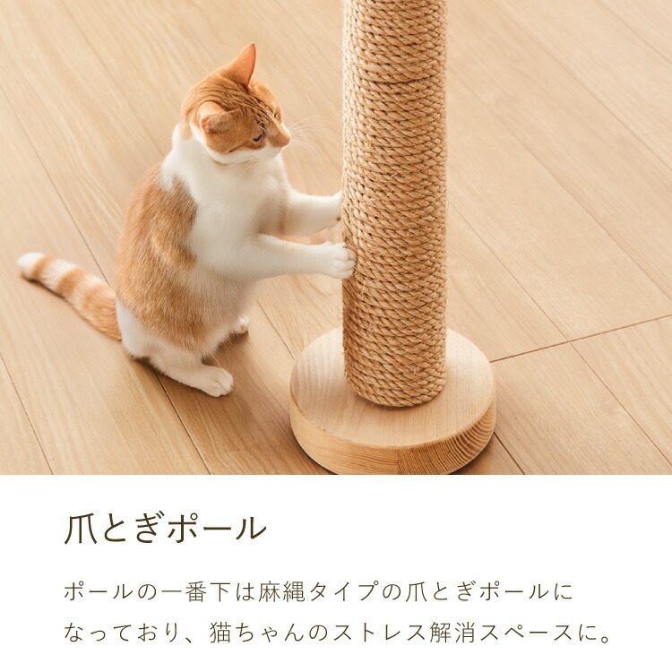 楽天市場】日本製 キャットタワー 突っ張り型 木製 高さ240~250cm 宇宙