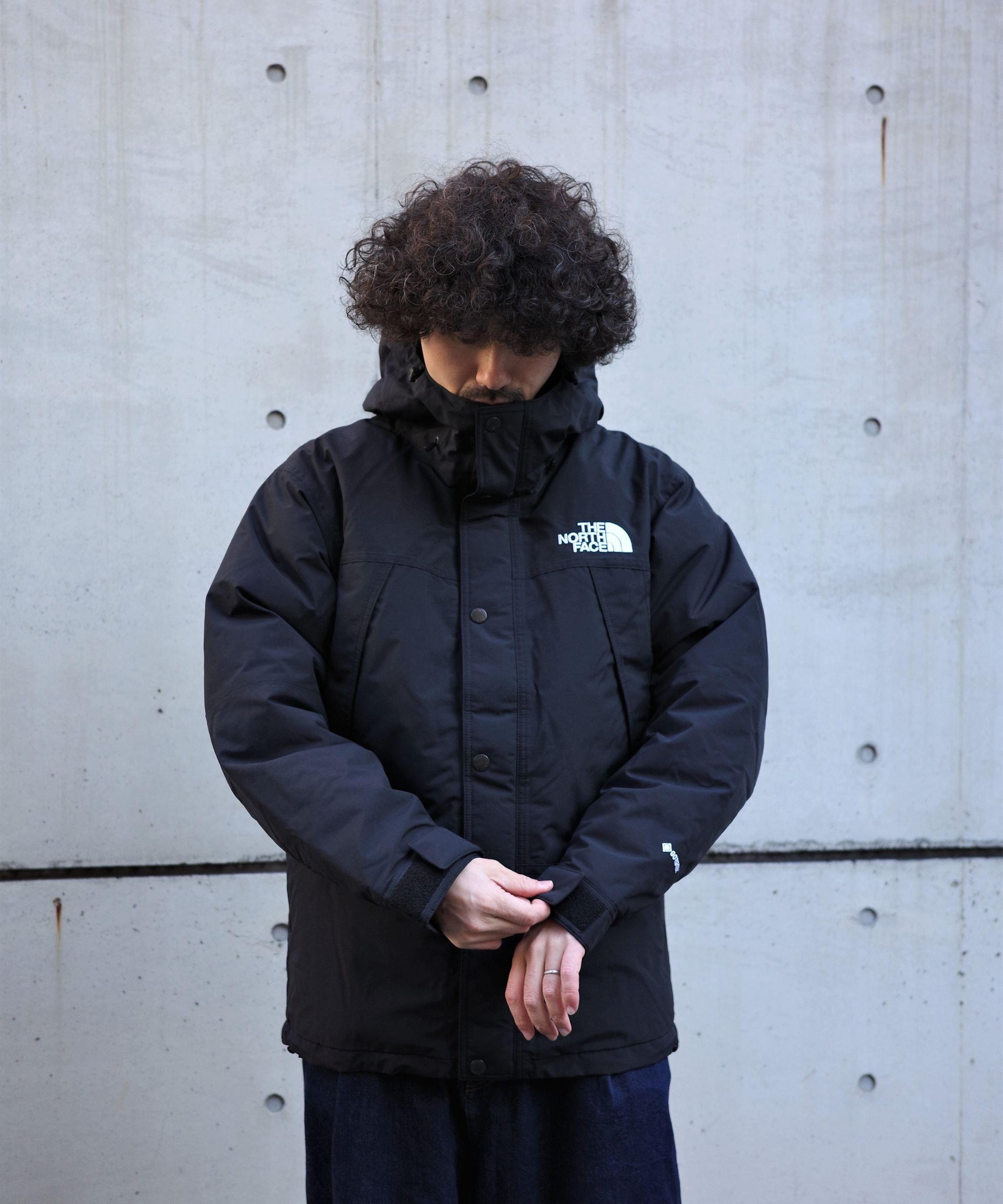 BEAVER｜THE NORTH FACE /ザ・ノース・フェイス Mountain Down Jacket