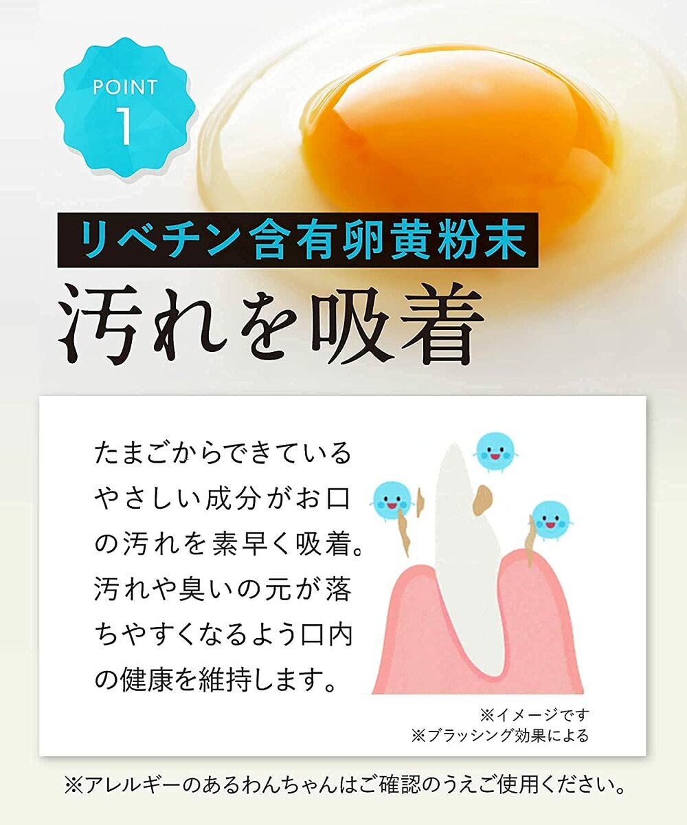 楽天市場】【2個セットでお得！】ドクターデンタルワン 30g×2本 2ヶ月