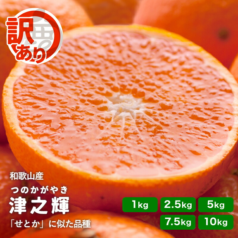 楽天市場】訳あり 津之輝 送料無料 1kg ～ 10kg せとか に似た新品種