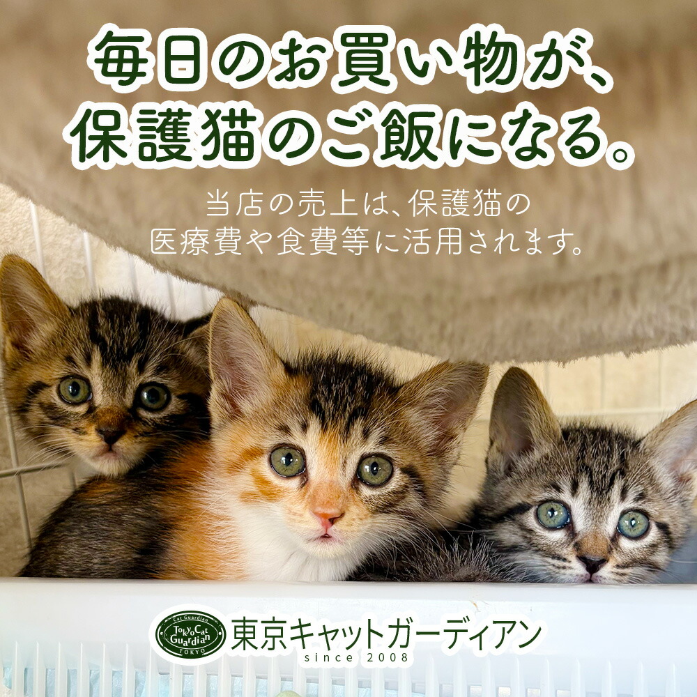 楽天市場】IZZAO'S WORKS【猫佛シリーズ】 弥勒猫菩薩 Tシャツ ユニ